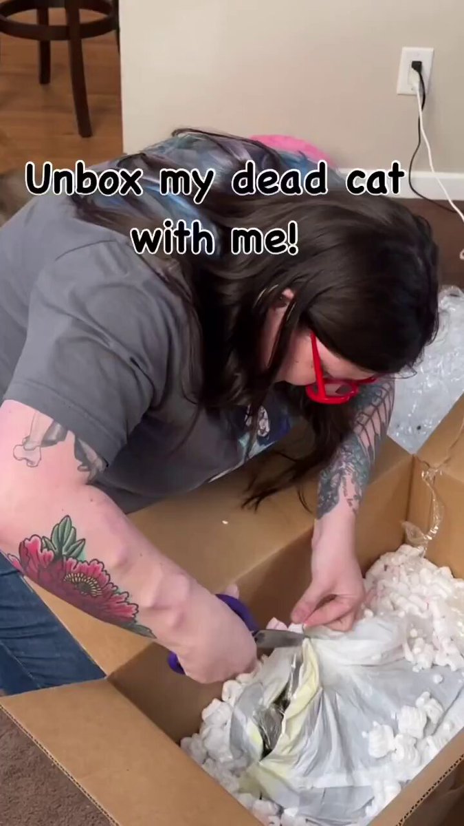 ABD'li Kadın Hayatını Kaybeden Kedisini Kuru Dondurma ile Mumyaladı