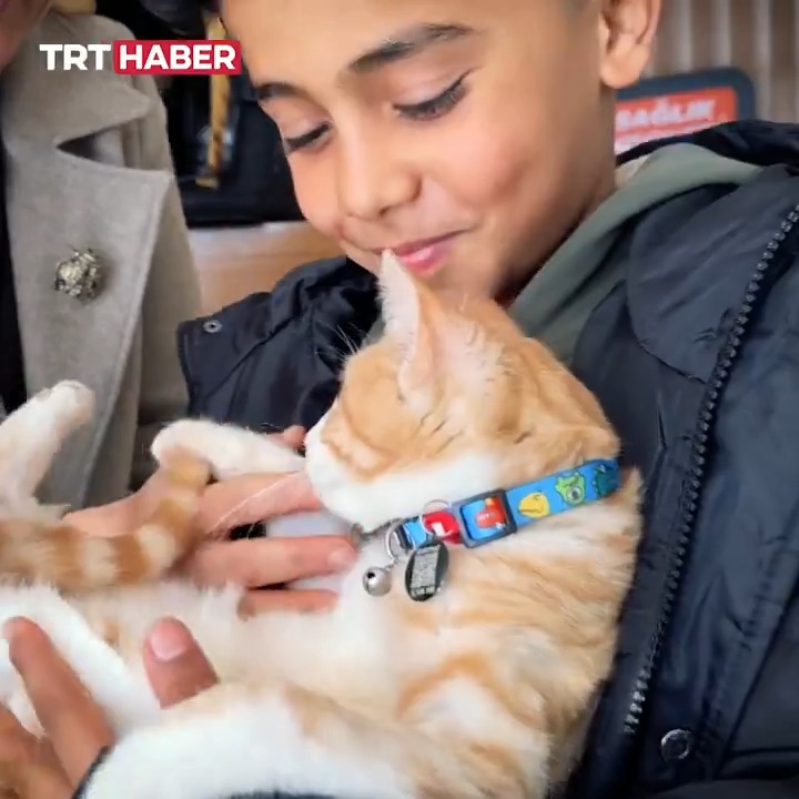 Antalya'da 10 Yaşındaki Cebrail, Kalp Masajıyla Kediyi Hayata Döndürdü