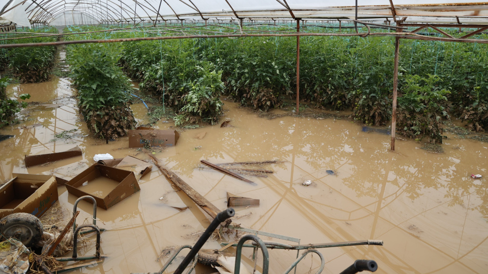 Antalya'da Şiddetli Yağışlar Seraları Vurdu: Hasar Tespit Çalışmaları Devam Ediyor