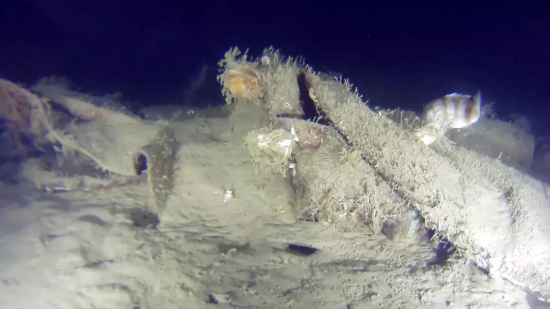 THY'nin 1975'te Düşen Uçağı Bursa'nın Parçaları Marmara Denizi'nde Bulundu