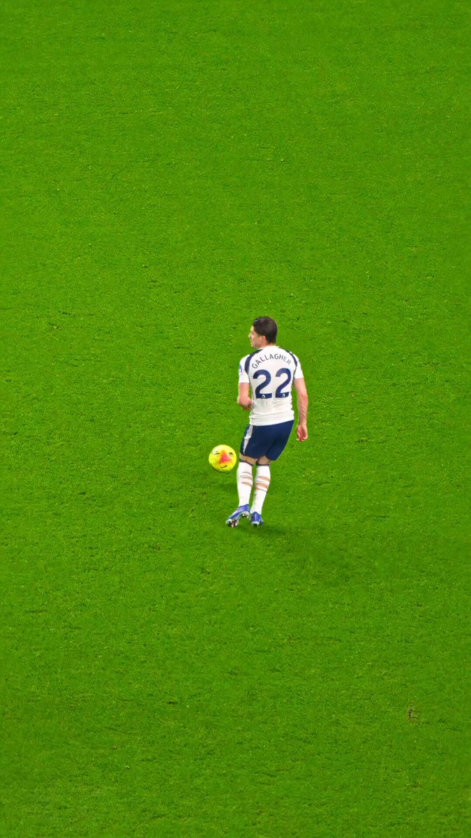 Dominic Solanke'den Akrep Vuruşu: Tottenham'dan Özel Paylaşım