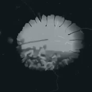 Mustafa Kemal Atatürk'ü Anma Etkinlikleri