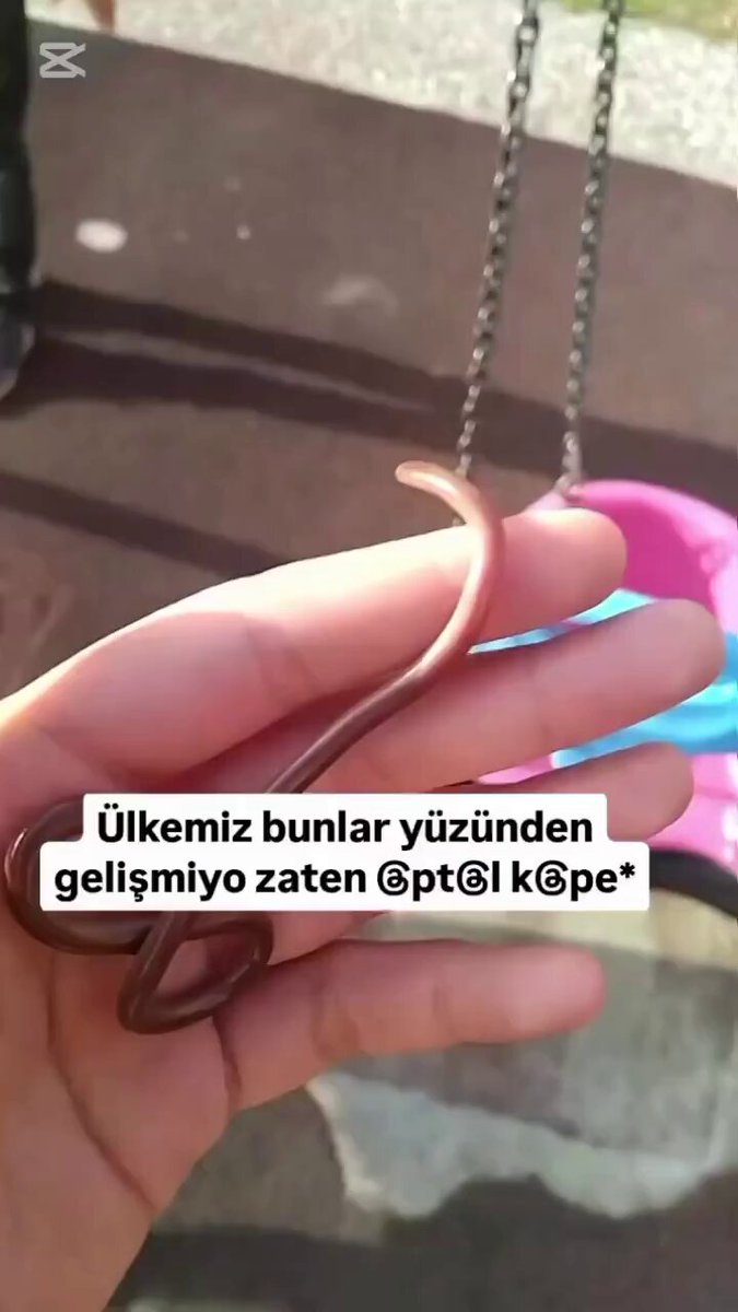 Çocuk Parkında Solucan Ölümü: Tartışma Parkta Sallanan Torun Sorumlusu İddiasına Dönüştü