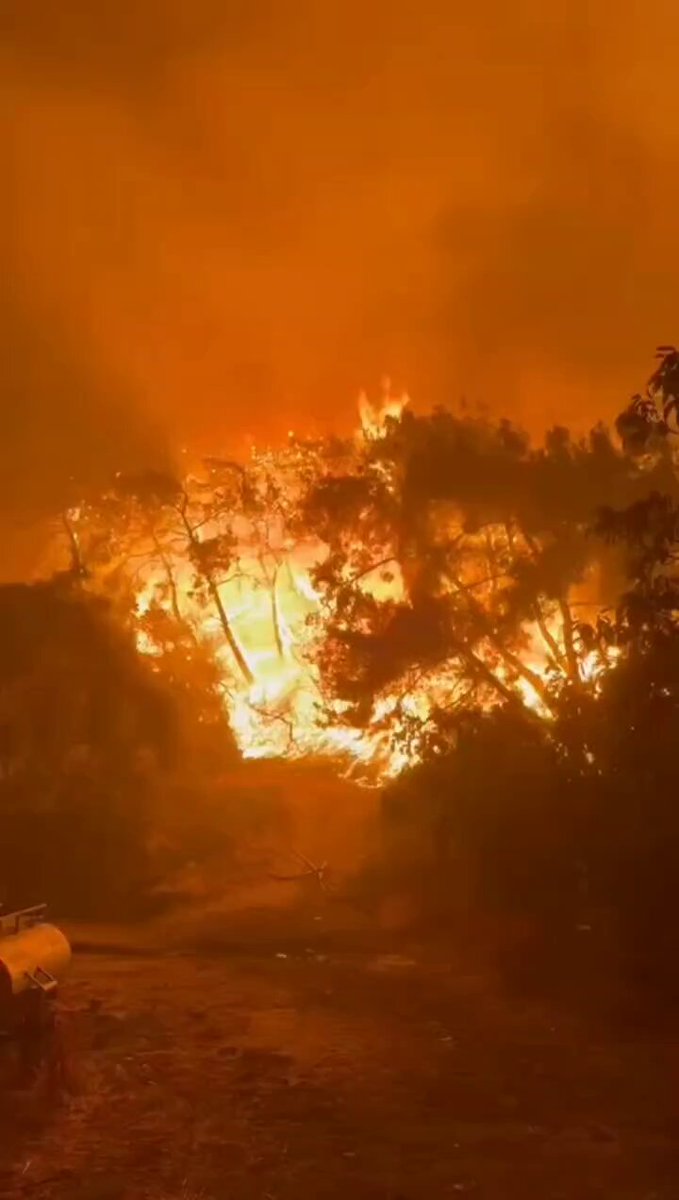İzmir Foça'da Orman Yangını Devam Ediyor: Ekipler Seferber Oldu