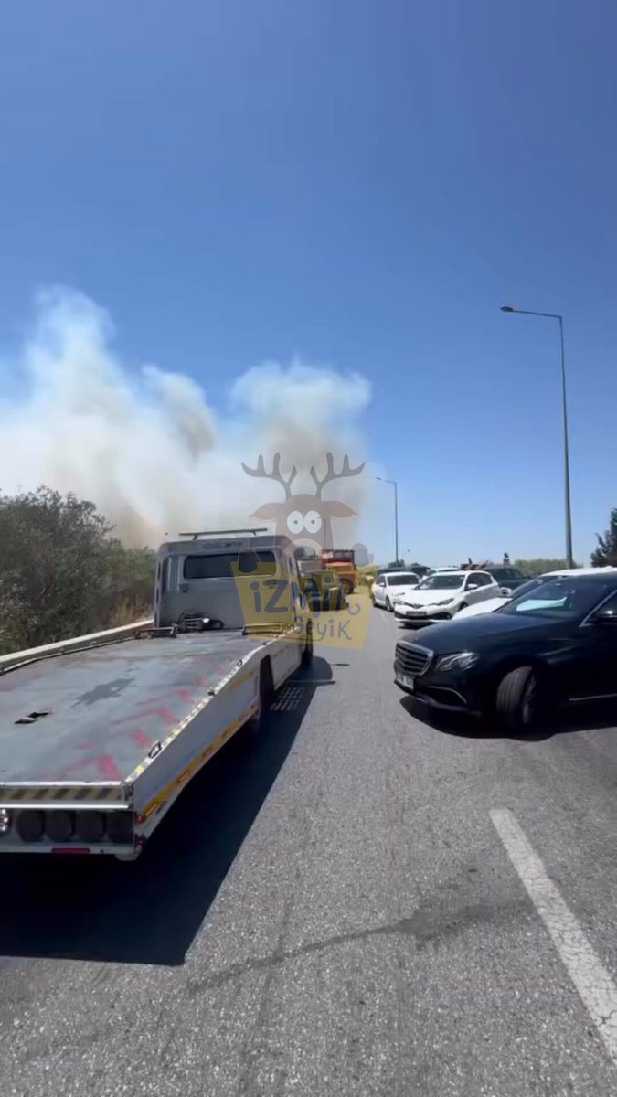 İzmir Bornova'da Yol Kenarı Yangını Trafiği Durdurdu