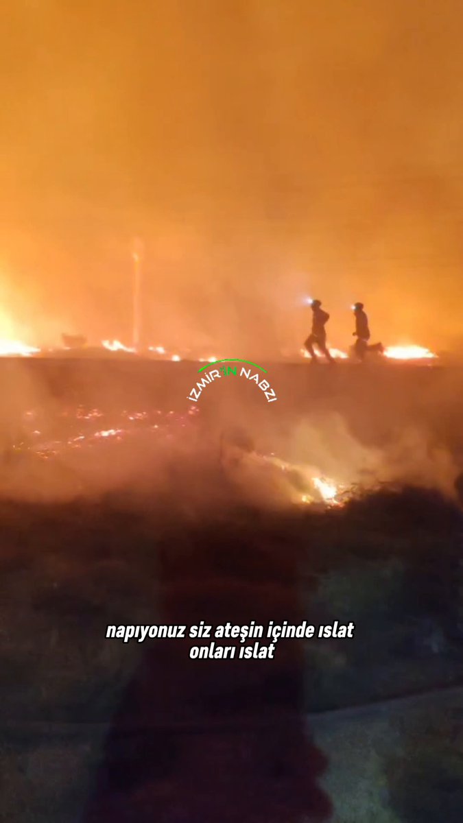 İzmir Çeşme'de Orman Yangını Kontrol Altına Alınmaya Çalışılıyor