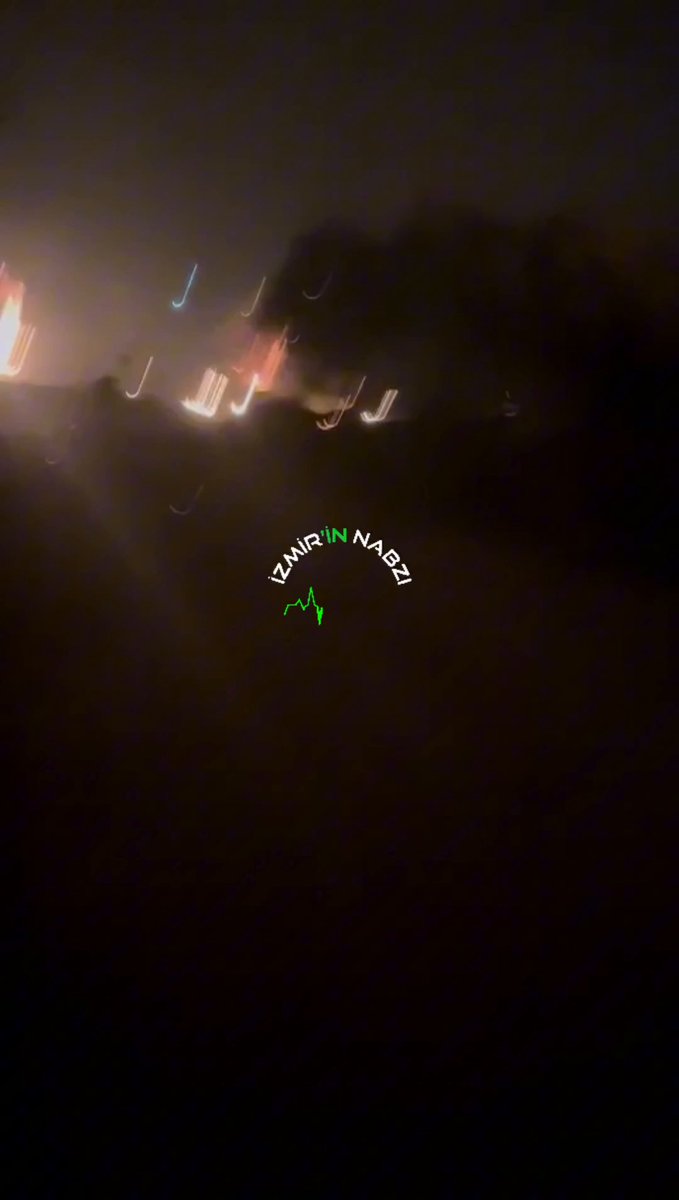 İzmir Ödemiş'te Vatandaşlar Yangından Mahsur Kalan Hayvanları Kurtarmaya Çalışıyor