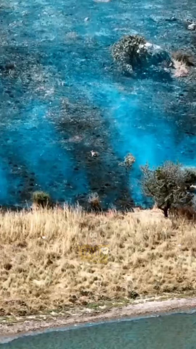 İzmir Orman Yangınında Yuvasını Kaybeden Tavşan Umutla Yuvasını Arıyor