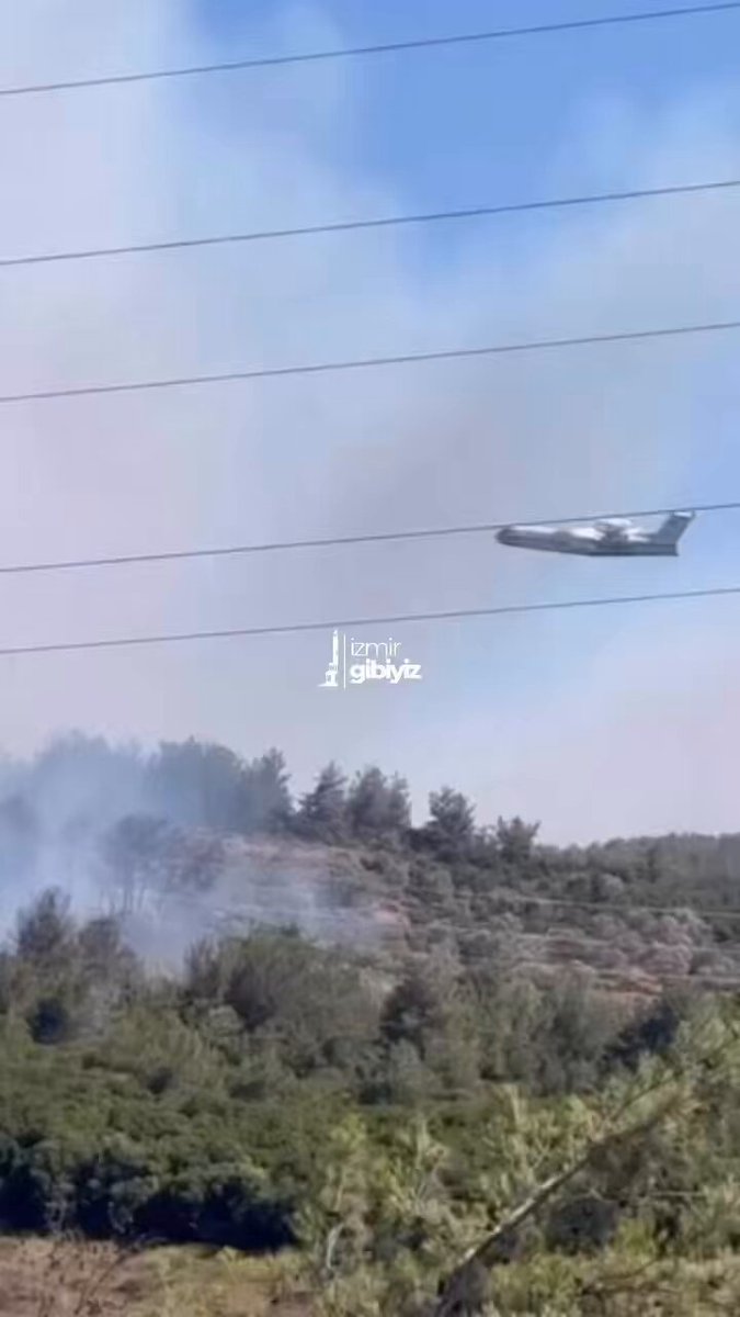 İzmir Urla'da Yüzyıllık Zeytinliklerde Yangın Paniği