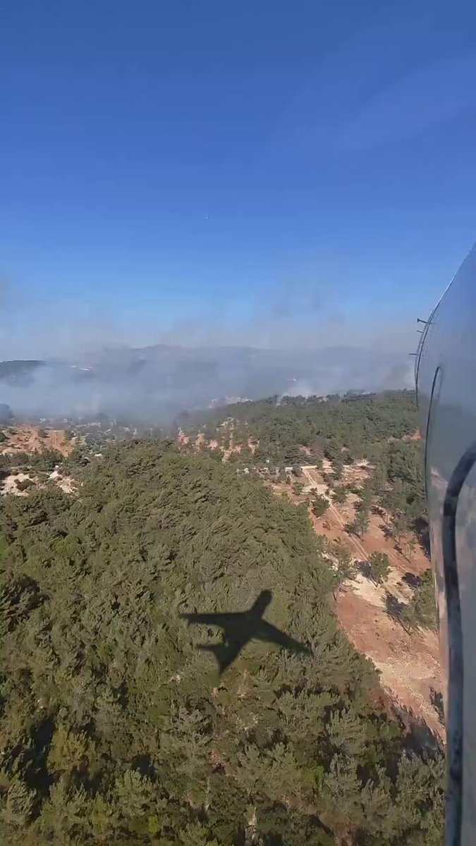 İzmir Urla'da Orman Yangını Devam Ediyor: Havadan ve Karadan Müdahale Sürüyor
