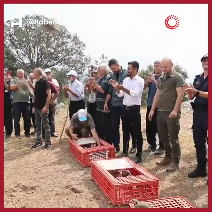 Adana'da 500 Keklik Kene Mücadelesinde Göreve Başladı