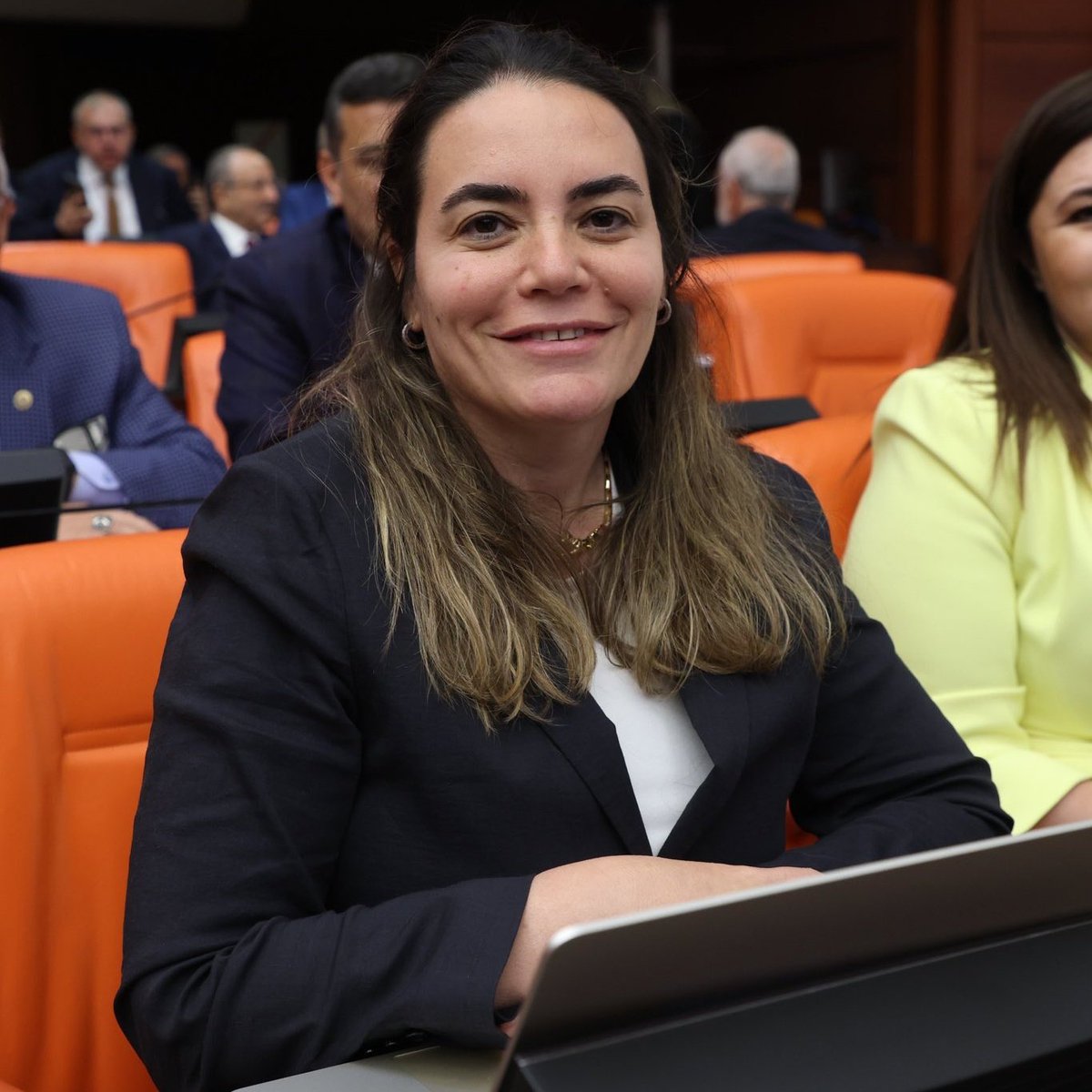 İYİ Parti Milletvekili Türkeş'ten Etnik ve Dinsel Ayrışma Uyarısı