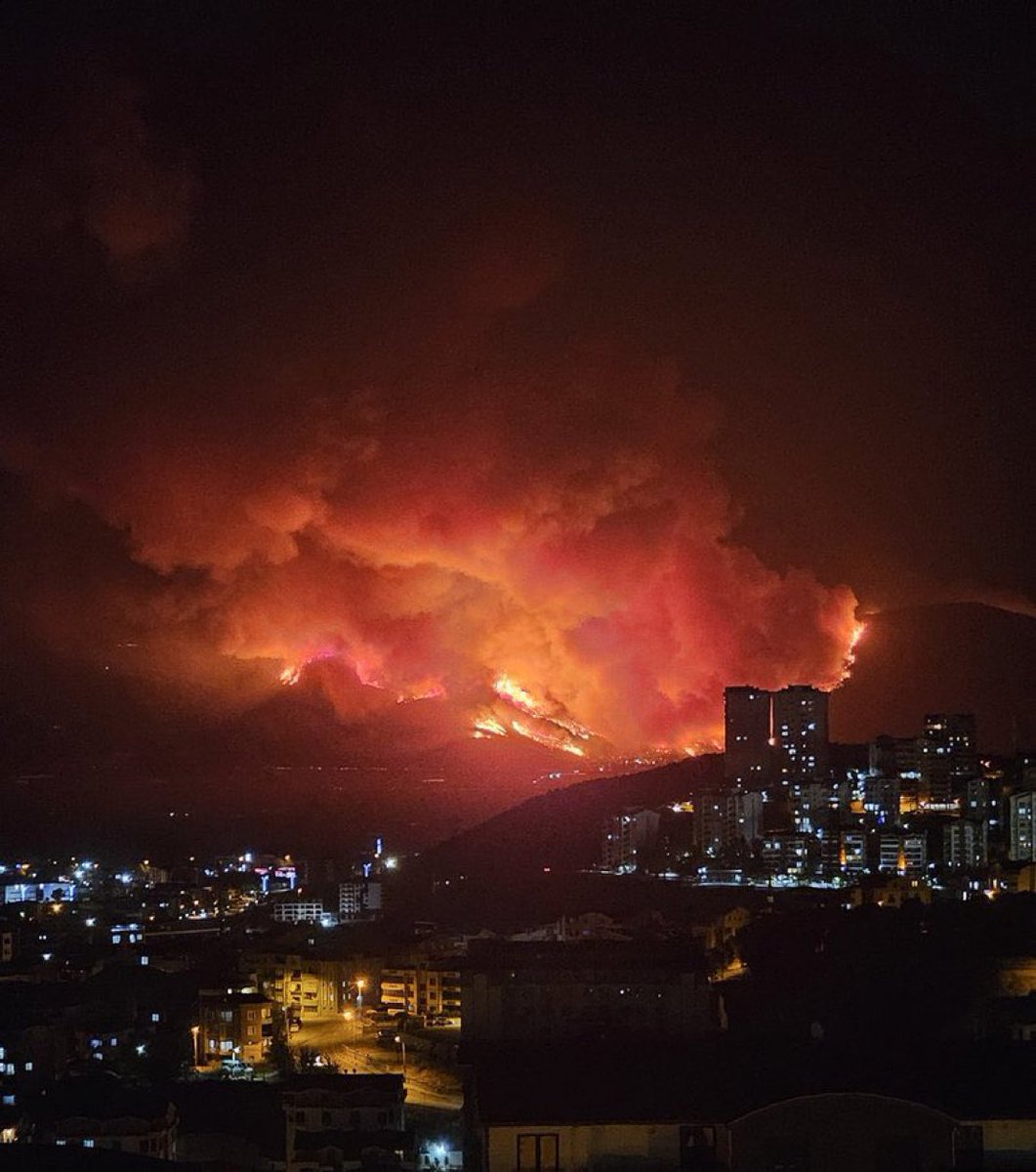 Orman Yangınları Kontrol Altına Alındı: Can ve Mal Güvenliği Sağlandı