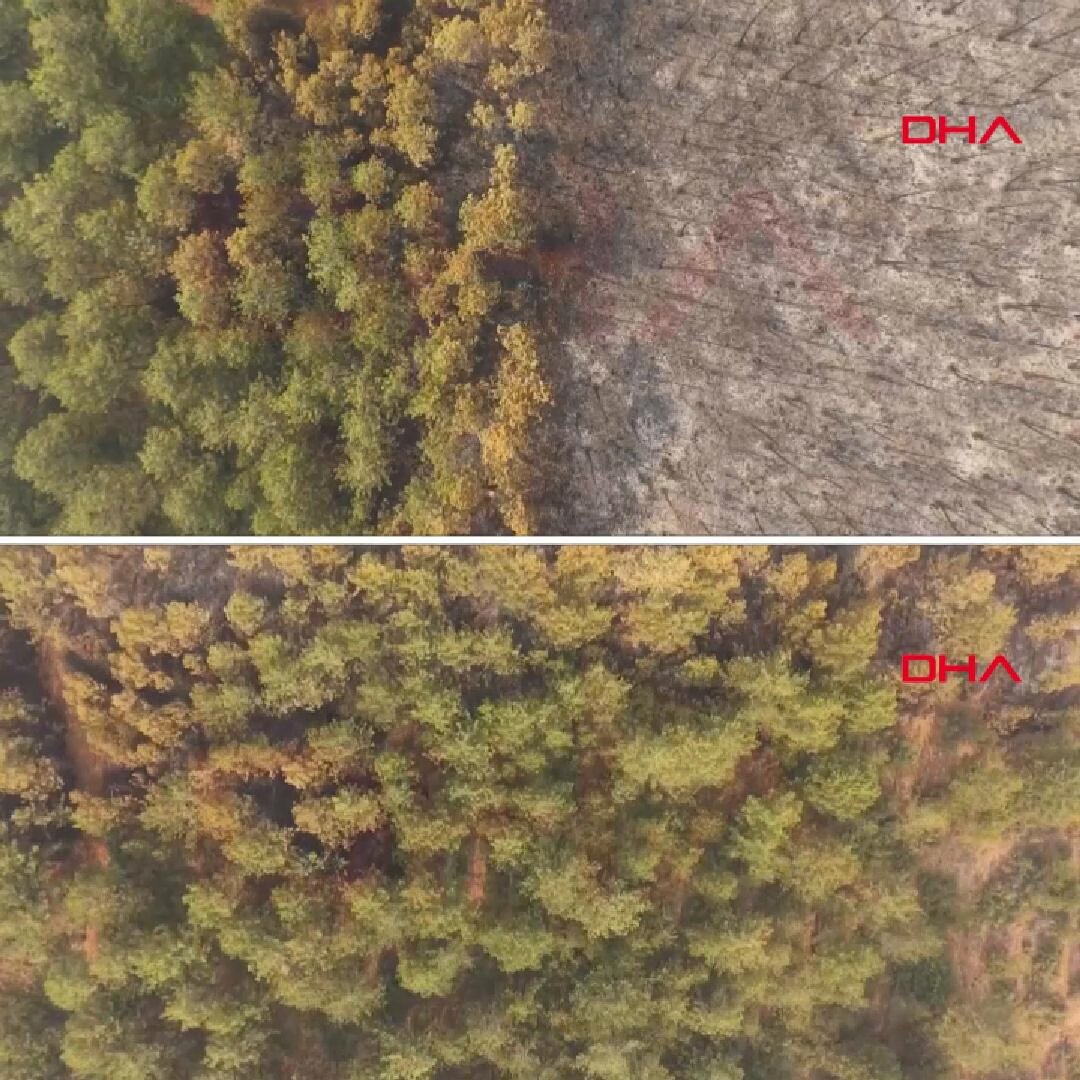 Bursa'da Orman Yangını: Dron Kaydıyla Tahribat Ortaya Çıktı