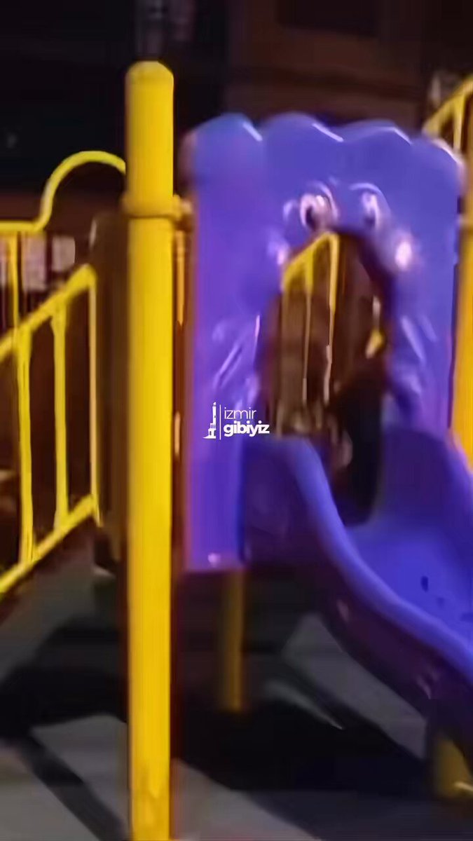 İzmir'de Parkta Yalnız Oynayan Kedi Görüntülendi