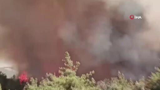 Adana İmamoğlu'nda Kontrol Altındaki Yangın