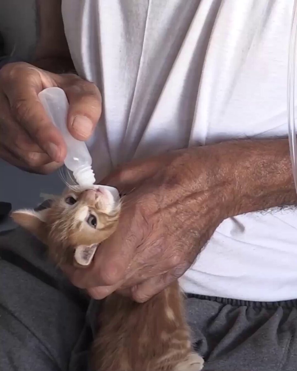 Hatay'da Depremzede KOAH Hastası, Kedilere Mama Verme Tutkusunu Sürdürüyor