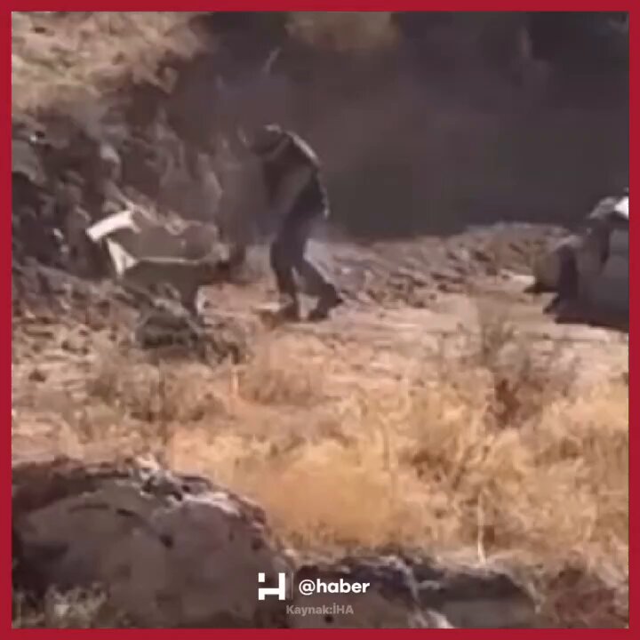 Sivas'ta Yavru Köpeğe Şiddet: Şahıs Gözaltına Alındı