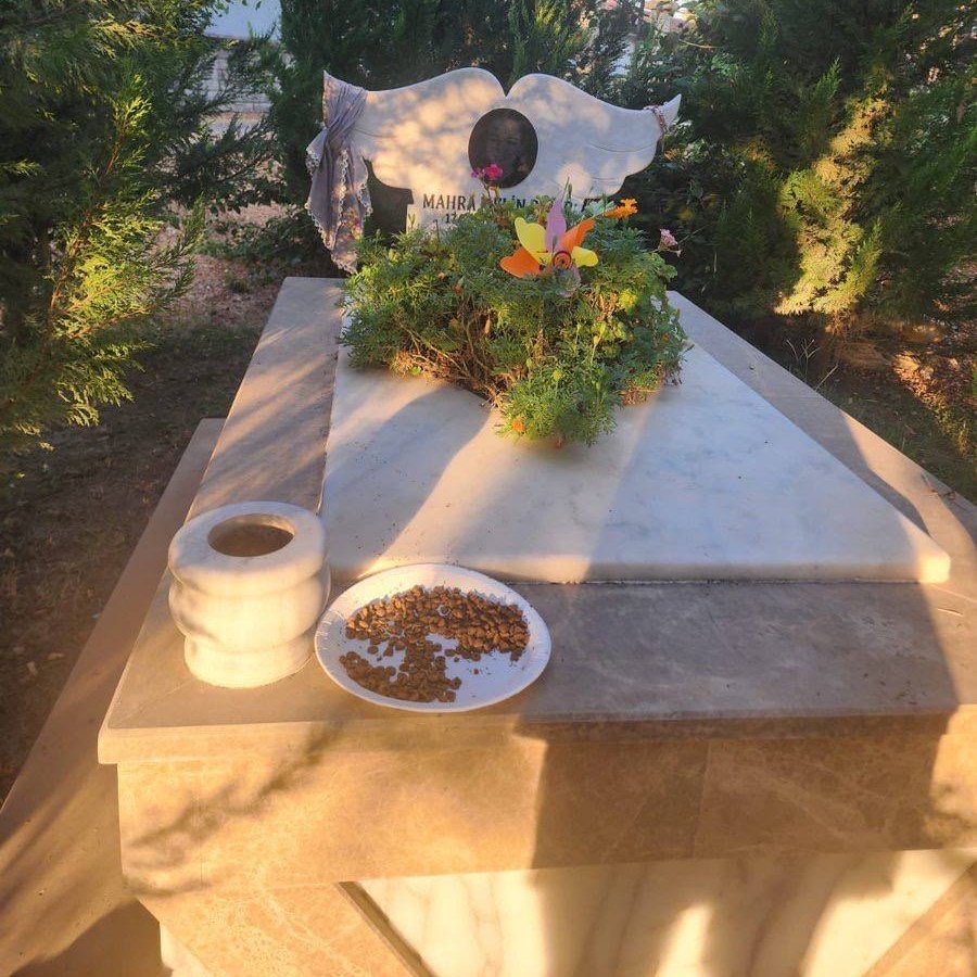 Antalya'da Hayatını Kaybeden Mahra'nın Mezarına Mama Bırakıldı