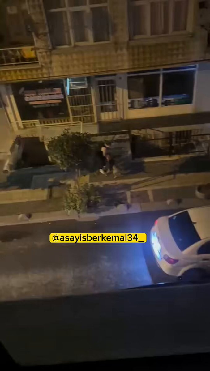 İstanbul'da Pitbull Saldırısı: Sahibine Yönelik Tehlike