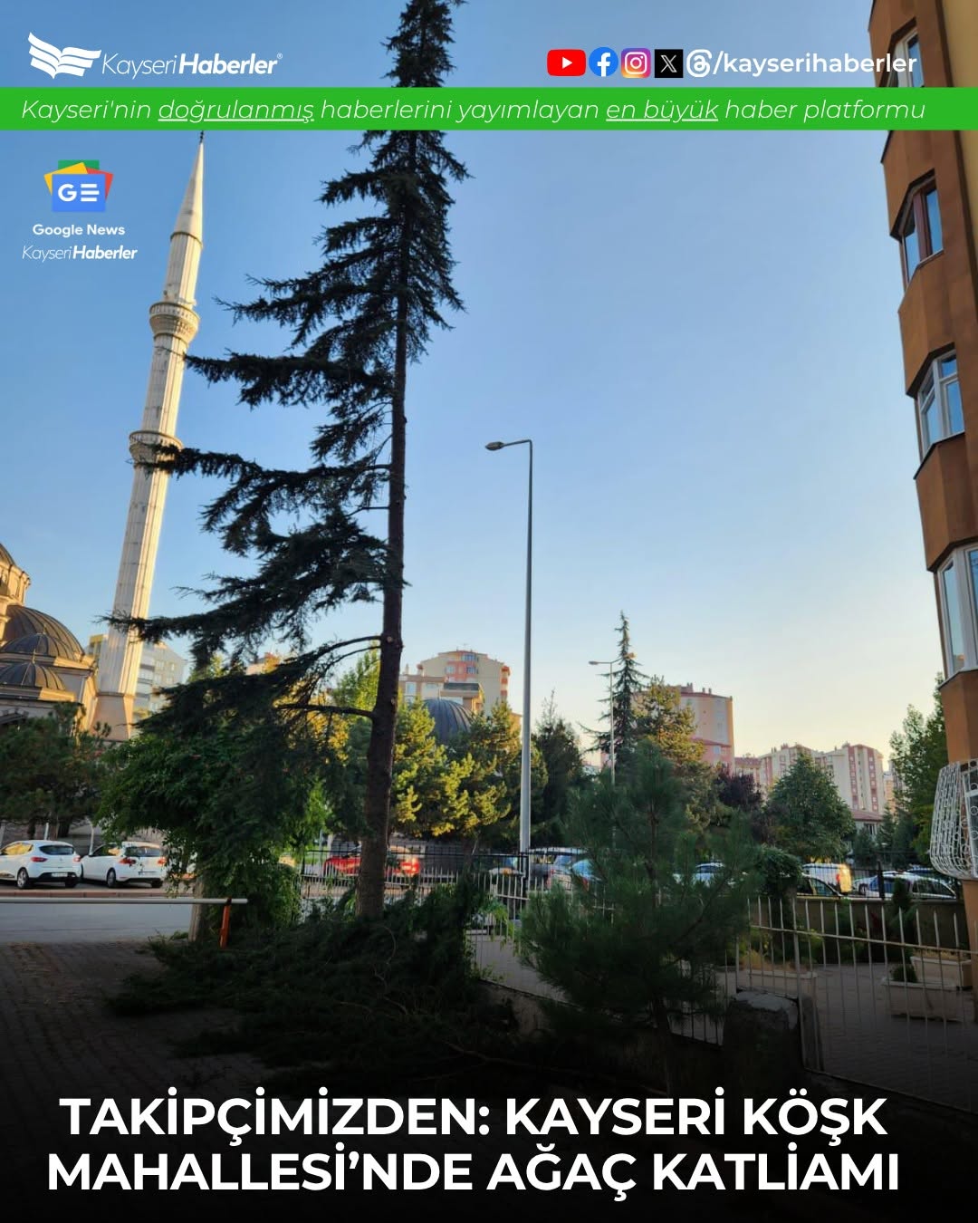 Kayseri'de Site Bahçesindeki Ağaçların Aniden Kesilmesi Tepki Çekti